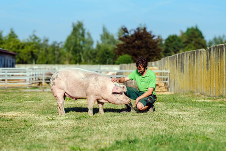 Ein Landwirt beugt sich auf einer grünen Wiese herunter und streichelt ein Schwein.