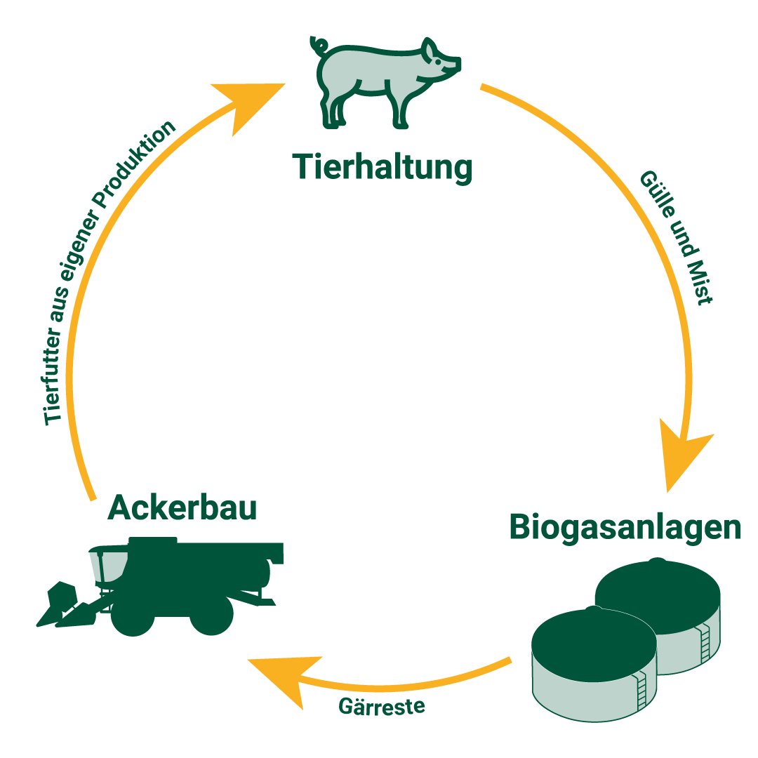 Eine Grafik, die unsere Kreislaufwirtschaft beschreibt.